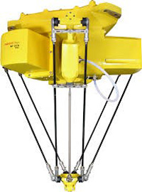 Fanuc Delta Robots